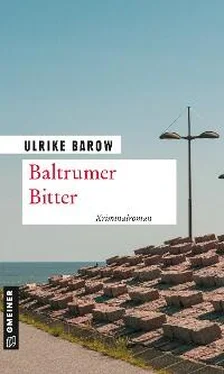 Ulrike Barow Baltrumer Bitter обложка книги