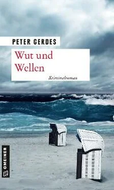 Peter Gerdes Wut und Wellen обложка книги