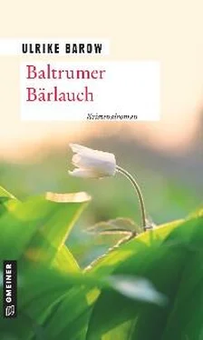 Ulrike Barow Baltrumer Bärlauch обложка книги