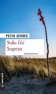 Peter Gerdes Solo für Sopran обложка книги