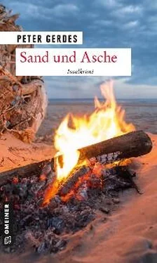 Peter Gerdes Sand und Asche обложка книги