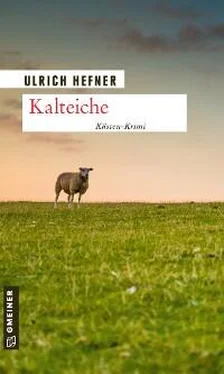 Ulrich Hefner Kalteiche обложка книги