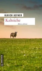 Ulrich Hefner - Kalteiche