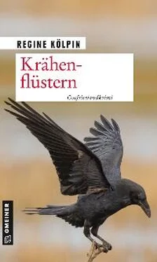 Regine Kölpin Krähenflüstern обложка книги