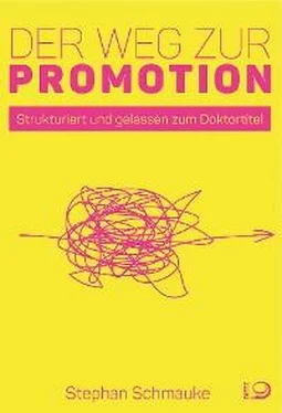 Stephan Schmauke Der Weg zur Promotion обложка книги
