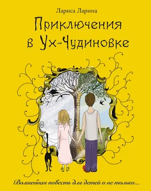 Лариса Ларина Приключения в Ух-Чудиновке обложка книги