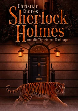 Philip Farmer Sherlock Holmes und die Tigerin von Eschnapur обложка книги