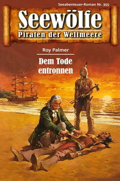 Roy Palmer Seewölfe - Piraten der Weltmeere 355 обложка книги