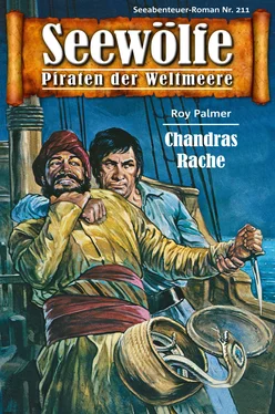 Roy Palmer Seewölfe - Piraten der Weltmeere 211 обложка книги