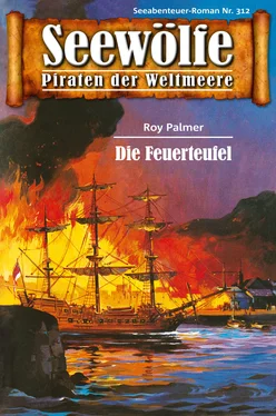 Roy Palmer Seewölfe - Piraten der Weltmeere 312 обложка книги