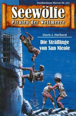 Davis J.Harbord Seewölfe - Piraten der Weltmeere 573 обложка книги