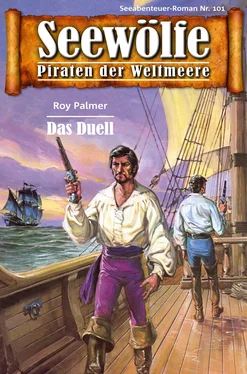 Roy Palmer Seewölfe - Piraten der Weltmeere 101 обложка книги