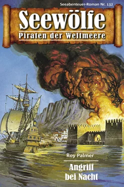 Roy Palmer Seewölfe - Piraten der Weltmeere 132 обложка книги