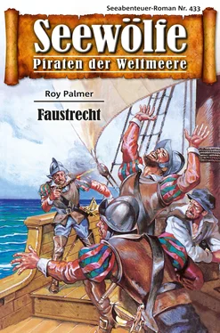 Roy Palmer Seewölfe - Piraten der Weltmeere 433 обложка книги