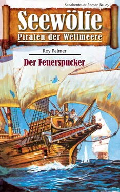 Roy Palmer Seewölfe - Piraten der Weltmeere 25 обложка книги