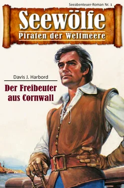 Davis J. Harbord Seewölfe - Piraten der Weltmeere 1 обложка книги