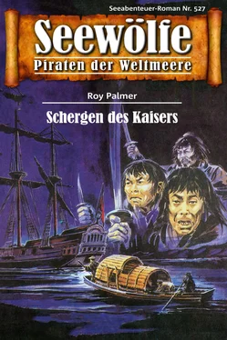 Roy Palmer Seewölfe - Piraten der Weltmeere 527 обложка книги