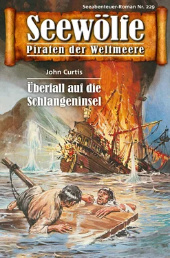 John Curtis Seewölfe - Piraten der Weltmeere 229 обложка книги