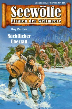Roy Palmer Seewölfe - Piraten der Weltmeere 196 обложка книги