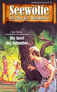 Roy Palmer Seewölfe - Piraten der Weltmeere 38 обложка книги