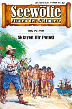 Roy Palmer Seewölfe - Piraten der Weltmeere 434 обложка книги