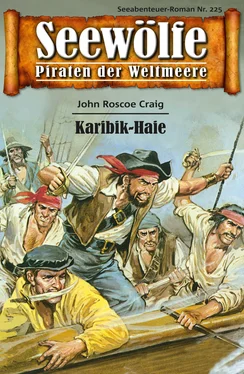 John Roscoe Craig Seewölfe - Piraten der Weltmeere 225 обложка книги