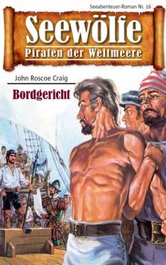 John Roscoe Craig Seewölfe - Piraten der Weltmeere 16 обложка книги