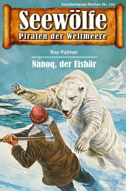 Roy Palmer Seewölfe - Piraten der Weltmeere 174 обложка книги