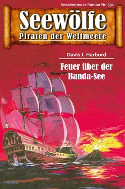 Davis J.Harbord Seewölfe - Piraten der Weltmeere 531 обложка книги