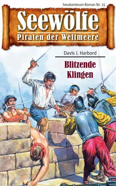 Davis J. Harbord Seewölfe - Piraten der Weltmeere 15 обложка книги