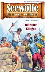 Davis J. Harbord - Seewölfe - Piraten der Weltmeere 15