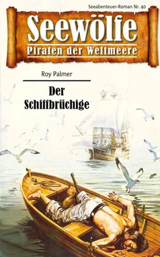 Roy Palmer Seewölfe - Piraten der Weltmeere 40 обложка книги