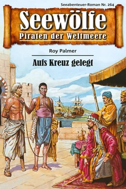 Roy Palmer Seewölfe - Piraten der Weltmeere 264 обложка книги