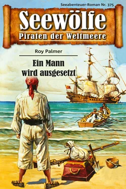 Roy Palmer Seewölfe - Piraten der Weltmeere 375 обложка книги