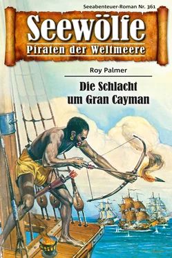 Roy Palmer Seewölfe - Piraten der Weltmeere 361 обложка книги