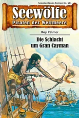 Roy Palmer - Seewölfe - Piraten der Weltmeere 361