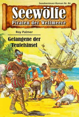 Roy Palmer Seewölfe - Piraten der Weltmeere 80 обложка книги