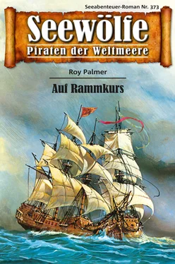 Roy Palmer Seewölfe - Piraten der Weltmeere 373 обложка книги