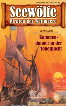 John Curtis Seewölfe - Piraten der Weltmeere 19 обложка книги