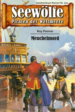 Roy Palmer Seewölfe - Piraten der Weltmeere 323 обложка книги