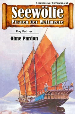 Roy Palmer Seewölfe - Piraten der Weltmeere 452 обложка книги