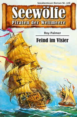 Roy Palmer Seewölfe - Piraten der Weltmeere 378 обложка книги