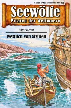 Roy Palmer Seewölfe - Piraten der Weltmeere 267 обложка книги