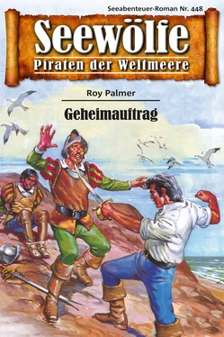 Roy Palmer Seewölfe - Piraten der Weltmeere 448 обложка книги