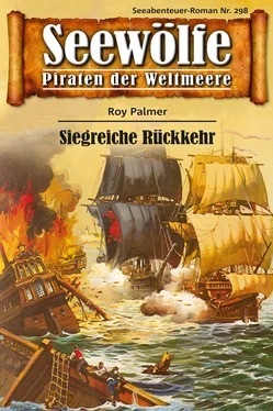 Roy Palmer Seewölfe - Piraten der Weltmeere 298 обложка книги
