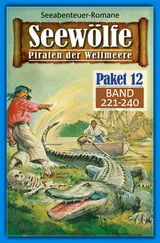 Roy Palmer - Seewölfe Paket 12