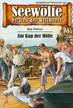 Roy Palmer Seewölfe - Piraten der Weltmeere 235 обложка книги