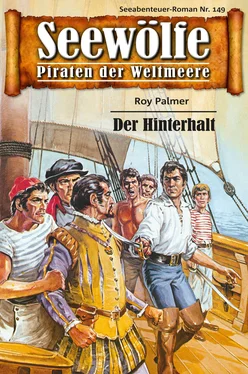 Roy Palmer Seewölfe - Piraten der Weltmeere 149 обложка книги