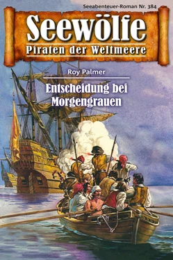 Roy Palmer Seewölfe - Piraten der Weltmeere 384 обложка книги