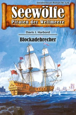 Davis J.Harbord Seewölfe - Piraten der Weltmeere 529 обложка книги